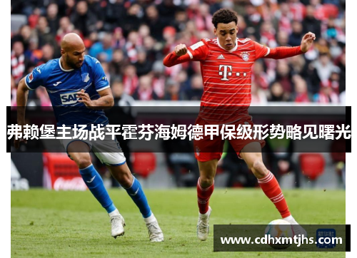 弗赖堡主场战平霍芬海姆德甲保级形势略见曙光