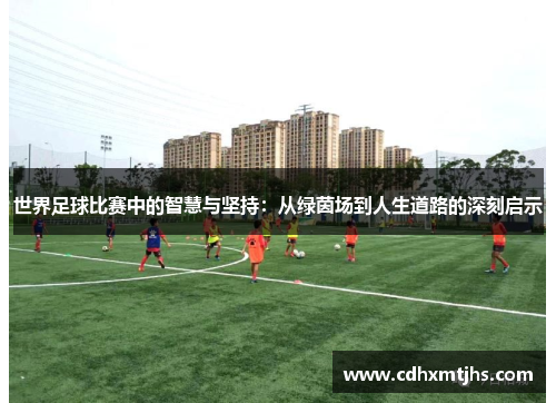 世界足球比赛中的智慧与坚持：从绿茵场到人生道路的深刻启示