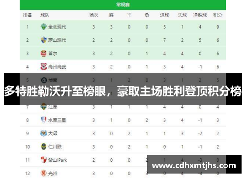 多特胜勒沃升至榜眼，豪取主场胜利登顶积分榜