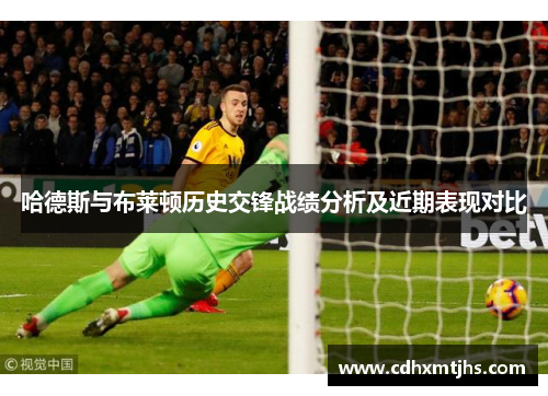 哈德斯与布莱顿历史交锋战绩分析及近期表现对比