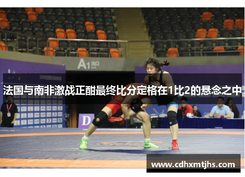 法国与南非激战正酣最终比分定格在1比2的悬念之中