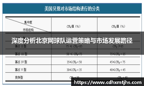 深度分析北京网球队运营策略与市场发展路径