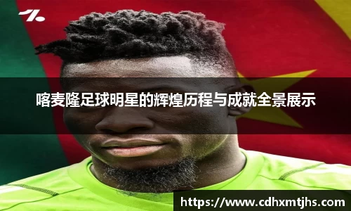 喀麦隆足球明星的辉煌历程与成就全景展示